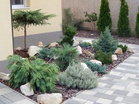 /album/galeria/kep6-jpg/