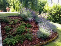 /album/galeria/kert8-jpg/