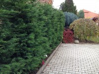 /album/galeria/kert12-jpg/