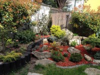 /album/galeria/kert13-jpg/