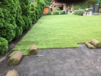 /album/galeria/a20864533-1224776007633947-1739531564-n-jpg/