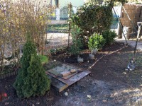 /album/galeria/a20864636-1224780680966813-1288668119-n-jpg/