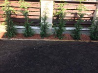 /album/galeria/a20864678-1224778604300354-866970008-n-jpg/