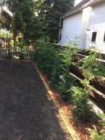 /album/galeria/a20884965-1224778617633686-1439075134-n-jpg/