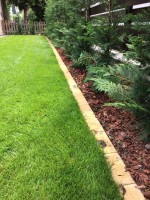 /album/galeria/a20885048-1224778170967064-1715345589-n-jpg/