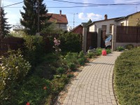 /album/galeria/a20885108-1224780630966818-856212699-n-jpg/