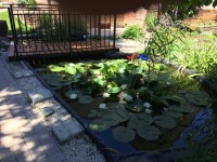 /album/galeria/a20885183-1224778200967061-1911740481-n-jpg/