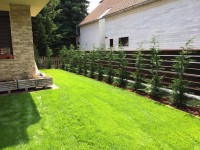 /album/galeria/a20891334-1224778217633726-1973447091-n-jpg/