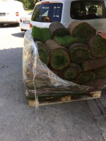 /album/galeria/a20891365-1224778624300352-943514674-n-jpg/