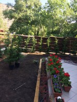 /album/galeria/a20915688-1224778594300355-1058541984-n-jpg/