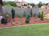 /album/galeria/a20915728-1224776814300533-28473855-n-jpg/