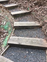 /album/galeria/a20916107-1224780660966815-109489129-n-jpg/