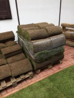 /album/galeria/a20916815-1224776010967280-1533331895-n-jpg/