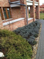 /album/galeria/a20916935-1224780647633483-1202767814-n-jpg/