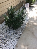 /album/galeria/image-0-02-05-2cae5883f408bc9acf503d3d35be836d2ab447f6b55124521f64096737118a05-v-jpg/