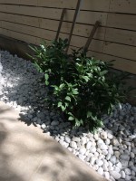 /album/galeria/image-0-02-05-d352639369bd2eb4e29388c197fb601f66f2ba3e4a7e085fbc0af1f42557d2e3-v-jpg/